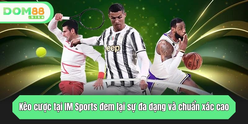 IM Sports DOM88 - Kèo Chuẩn, Dữ Liệu Sâu, Cược Dễ Ăn 2025 3 Kèo cược tại IM Sports đem lại sự đa dạng và chuẩn xác cao